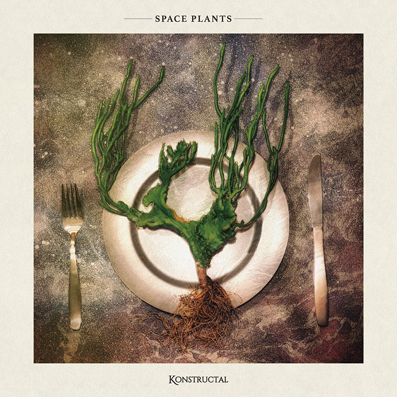 - SPACE PLANTS -